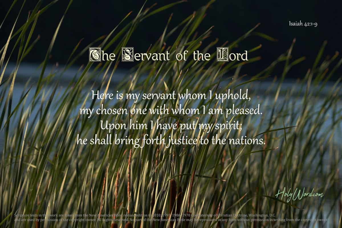 Isaiah 42 Servant of The Lord