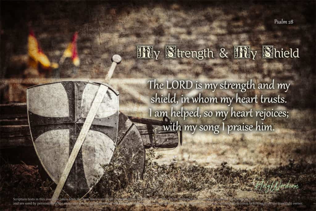 Psalm 28 – My Strength & My Shield – HolyWord.com