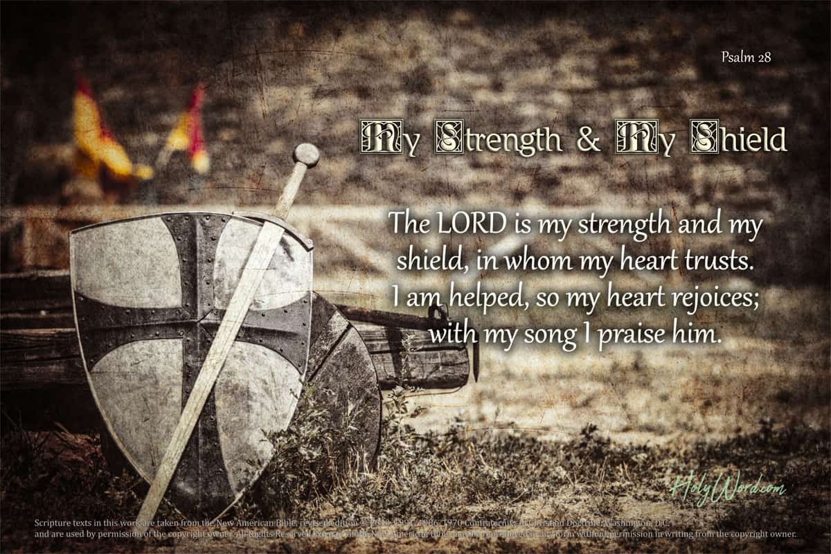Psalm 28 My Strength & My Shield