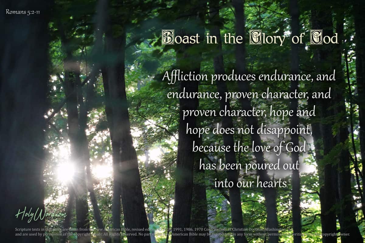 Romans 5 Affliction To Hope